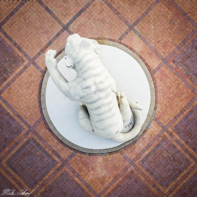 DJI_0114